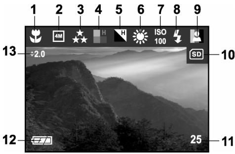 GENUIS P433 - LCD monitor information - 1