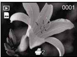 GENUIS P510 - Setting the DPOF - 2