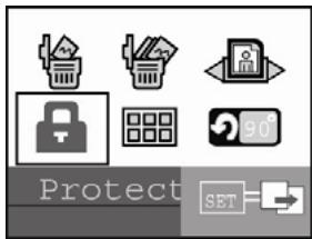 GENUIS P513 - Protecting Images - 1