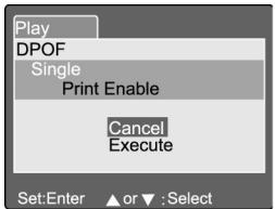 GENUIS P533 - Print Information - 5