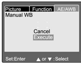 GENUIS P533 - Manual WB - 1