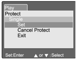 GENUIS P533 - Protect - 1