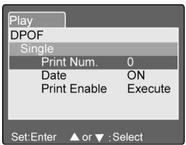 GENUIS P533 - Print Information - 2