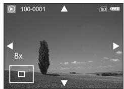 GENUIS P535 - Magnifying Images - 2