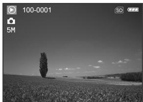 GENUIS P535 - Viewing Images - 1