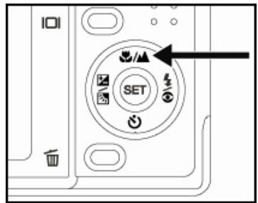 GENUIS P635 - Setting the Focus - 1