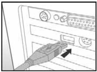GENUIS P635 - Step 2: Connecting the digital still camera to your computer - 2