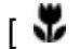 GENUIS P635 - Focus icon - 1
