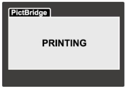 GENUIS P635 - Printing images - 6