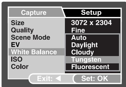 GENUIS P7533 - Setting White Balance - 2