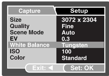 GENUIS P7533 - Setting White Balance - 1
