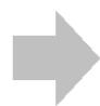 GENUIS REMOTE 815 - Function Lock - 2
