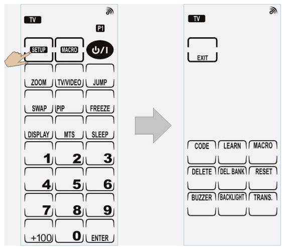 GENUIS REMOTE 815 - Main Setup Page - 1