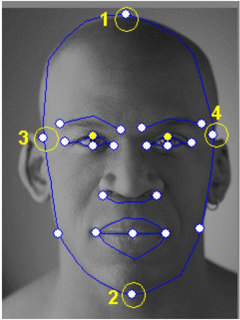 GENUIS SLIM 1320 - Tips and Suggestions Facial Fitting Tips - 1