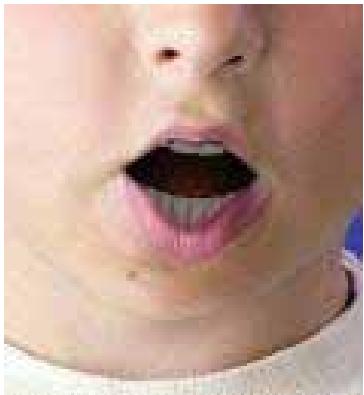 GENUIS SLIM 1322AF - How can I make the chin movie more naturally while talking? - 4