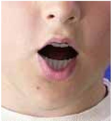 GENUIS SLIM 1322AF - How can I make the chin movie more naturally while talking? - 2