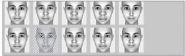 GENUIS SLIM 2020AF - To use the Face Morph features: - 1