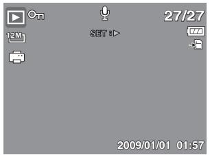 GENUIS V1200 - Changing the LCD Monitor Display - 6