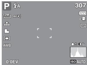 GENUIS V1200 - Changing the LCD Monitor Display - 2