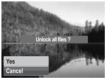 GENUIS V1200 - To unlock all files: - 3