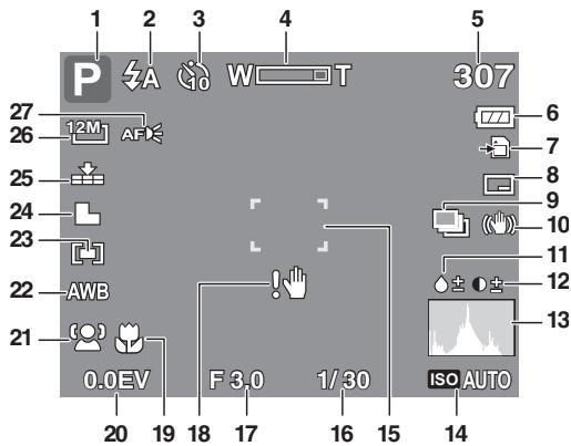 GENUIS V1200 - Record Mode Screen Layout - 1