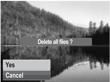 GENUIS V1200 - To delete all files: - 3