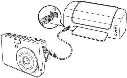 GENUIS V1200 - Connecting the Camera to a Printer - 1