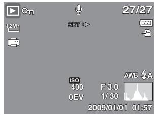 GENUIS V1200 - Changing the LCD Monitor Display - 7