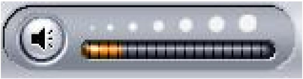 GENUIS VIDEOWONDER CARDBUS DUAL - Volume controls - 1