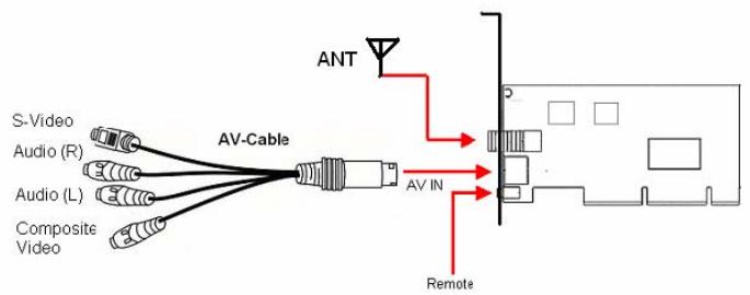 GENUIS VIDEOWONDER DVB - Video Wonder Series Model Connections - 1