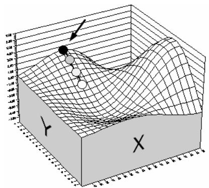 PALISADE EVOLVER 5.5 - About Hill Climbing Algorithms - 3