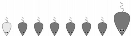 PALISADE EVOLVER 5.5 - A Biological Example - 3