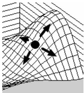 PALISADE EVOLVER 5.5 - About Hill Climbing Algorithms - 1