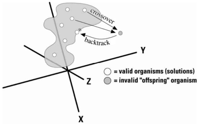 PALISADE EVOLVER 5.5 - Constraints - 1