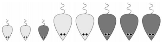 PALISADE EVOLVER 5.5 - A Biological Example - 1