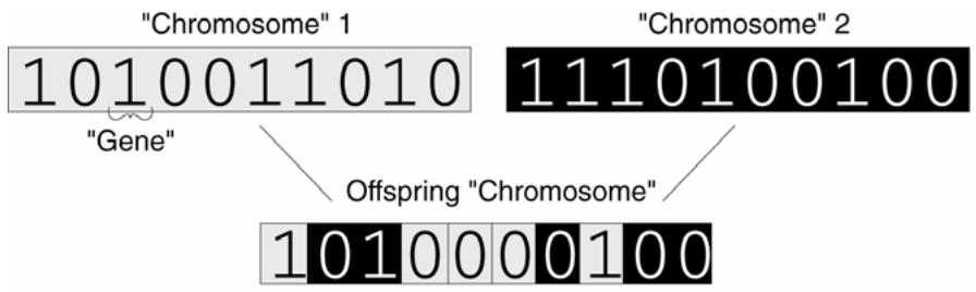 PALISADE EVOLVER 5.5 - Evolution Theory - 1