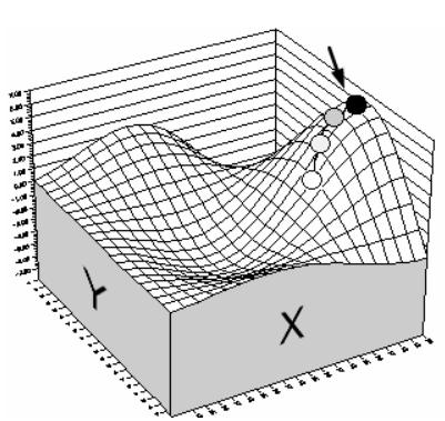PALISADE EVOLVER 5.5 - About Hill Climbing Algorithms - 2