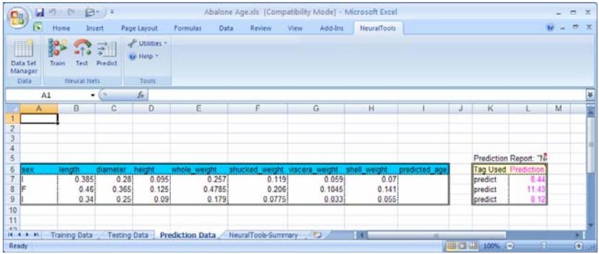 PALISADE NEURALTOOLS 5.5 - Prediction Results - 1