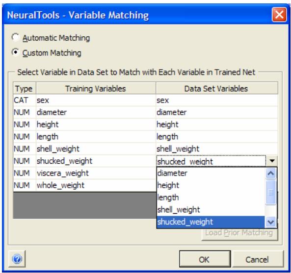PALISADE NEURALTOOLS 5.5 - Specifies settings for testing a trained neural network and runs the testing - 4