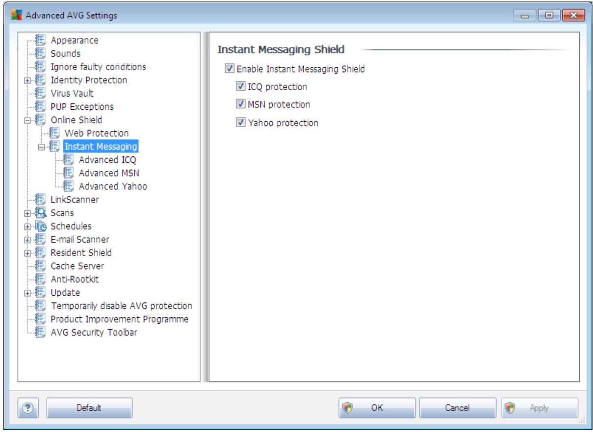 GRISOFT ANTI-VIRUS 2011 - Instant Messaging - 1