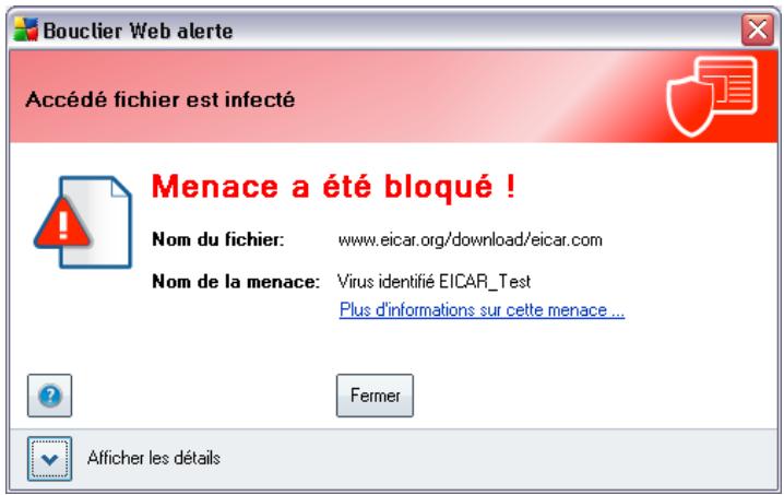GRISOFT AVG 9 ANTI-VIRUS - Détection bouclier web - 1