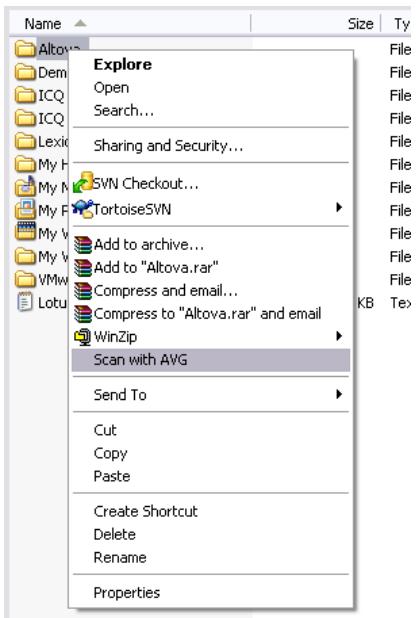 GRISOFT AVG 9.0 FILE SERVER - Scanning in Windows Explorer - 1