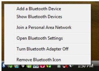 IOGEAR GBU421 - Windows Vista - 1