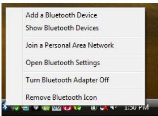 IOGEAR GBU421 - Windows Vista - 1