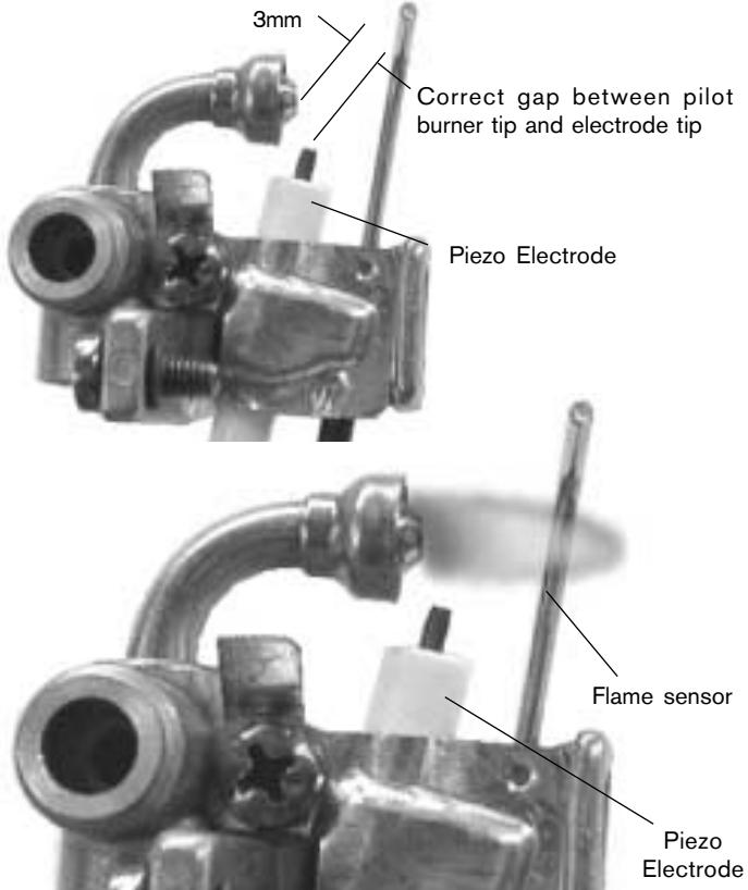 PROTANKLESS 425EF - ! REVIEW MAINTENANCE TABLE ON THE BACK OF THIS MANUAL - 1