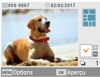 CANON SELPHY 1300 - Impression des images sur une carte mémoire - 4