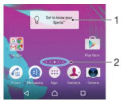 SONY F3311 - Home screen - 1