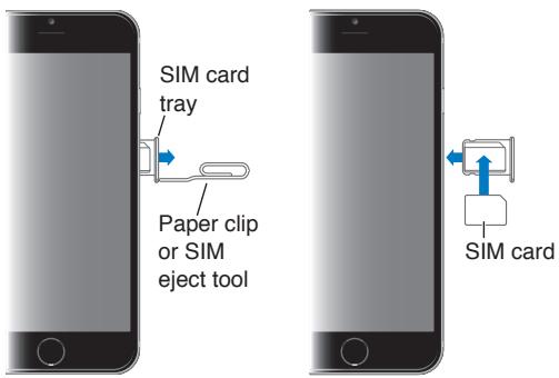 APPLE 6 - SIM card - 1