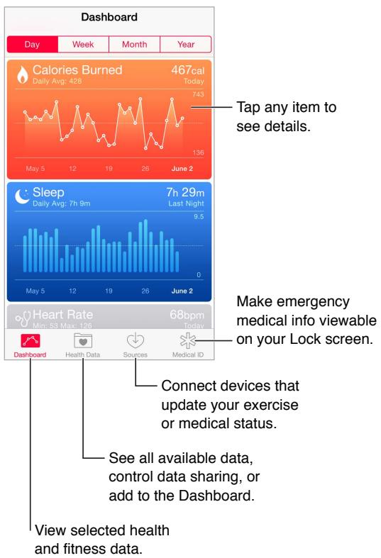 APPLE 6 - Your health at a glance - 1