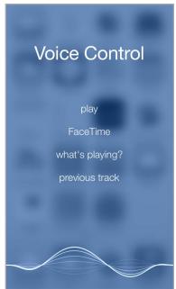 APPLE 6 - Voice Control - 1